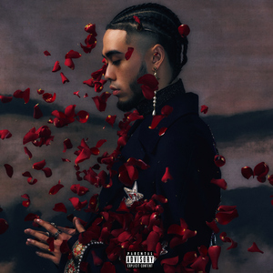 欧美在线视频网
