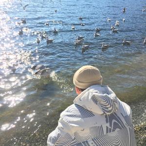 欧美在线视频网
