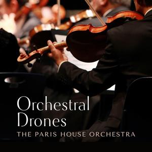 欧美在线视频网
